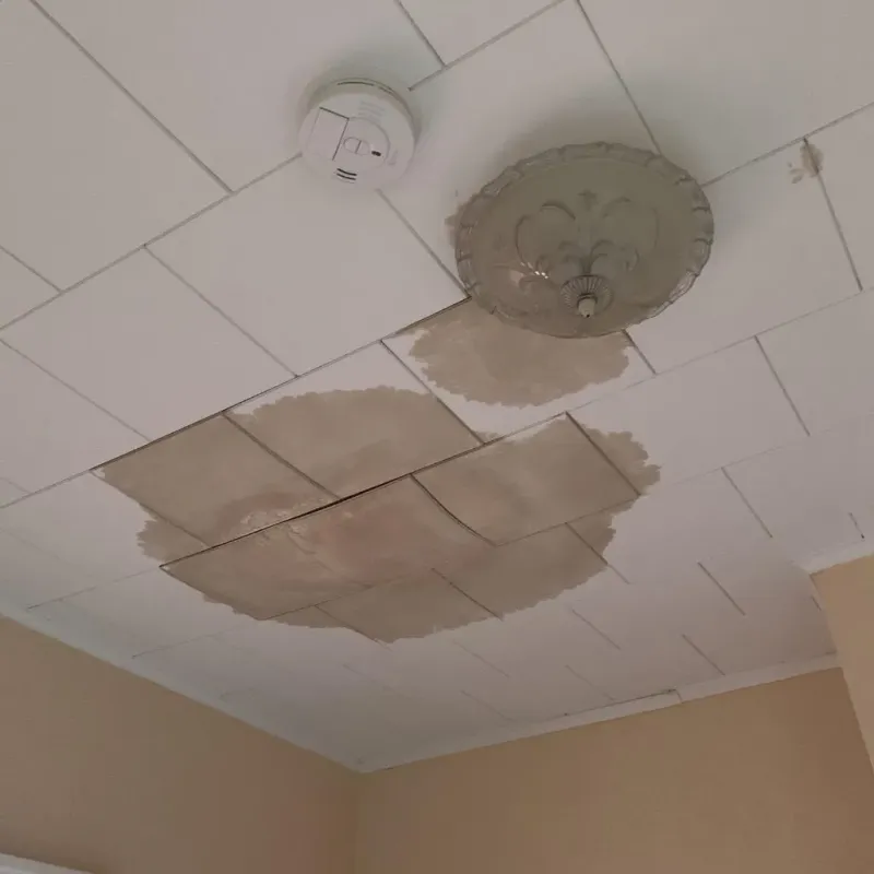 Ceiling Water Damage Repair in Marietta, PA